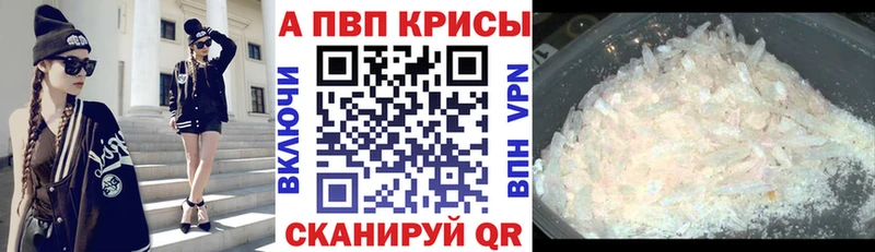 что такое   KRAKEN   Alpha PVP СК  Ковдор 