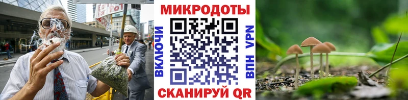 где купить наркотик  Ковдор  Галлюциногенные грибы Cubensis 
